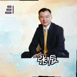 张辰