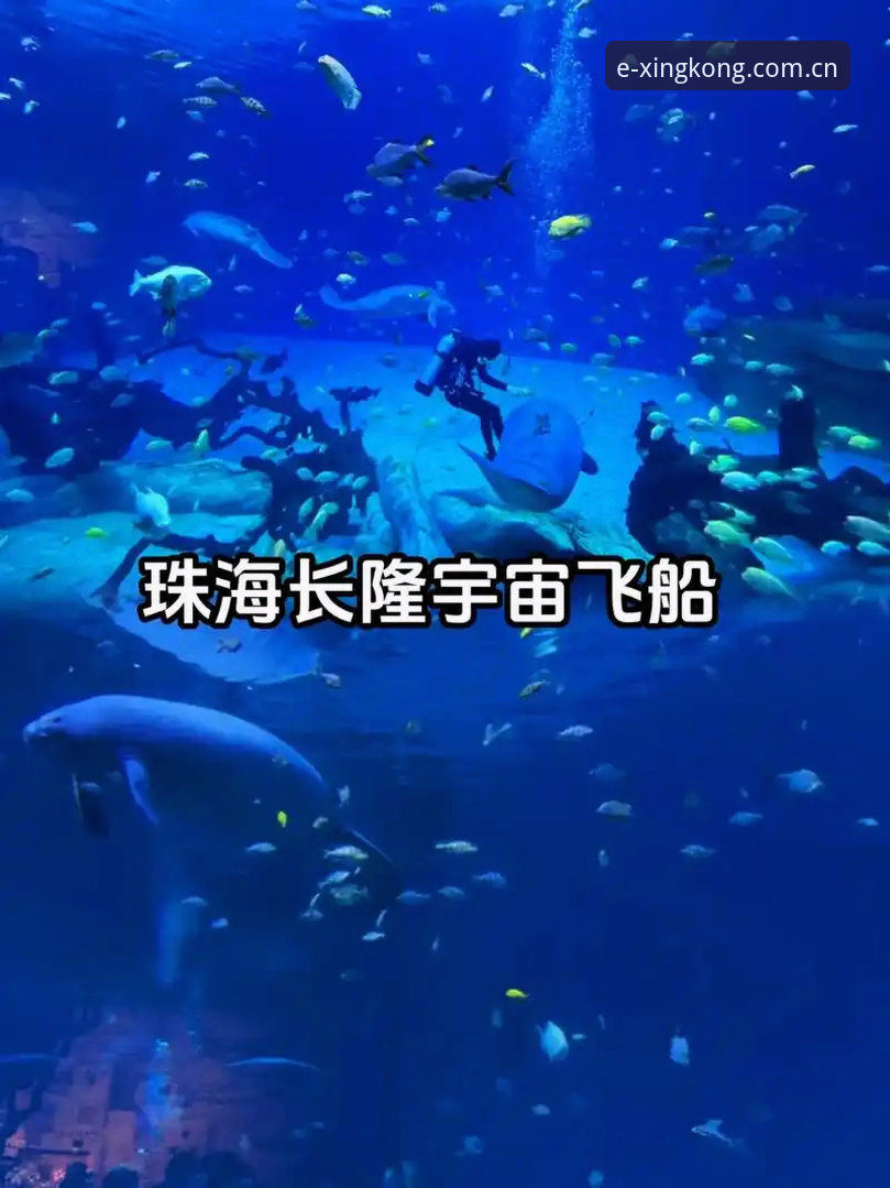 星空体育平台版本更新日志深度解读教程：从v2.1.0看移动端体验升级